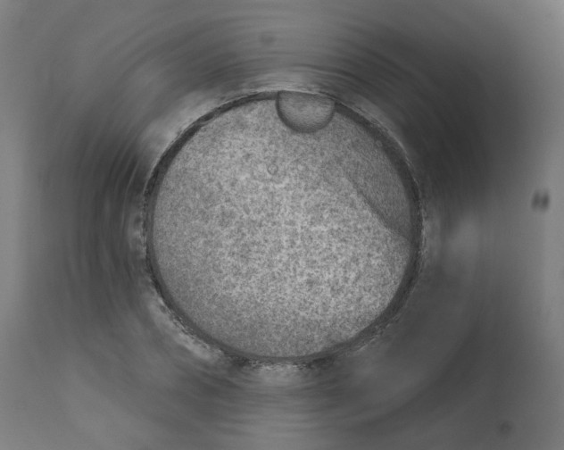 X0000112760882200909171247