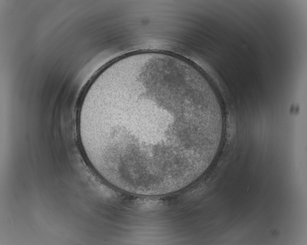 X0000112760886200909171247
