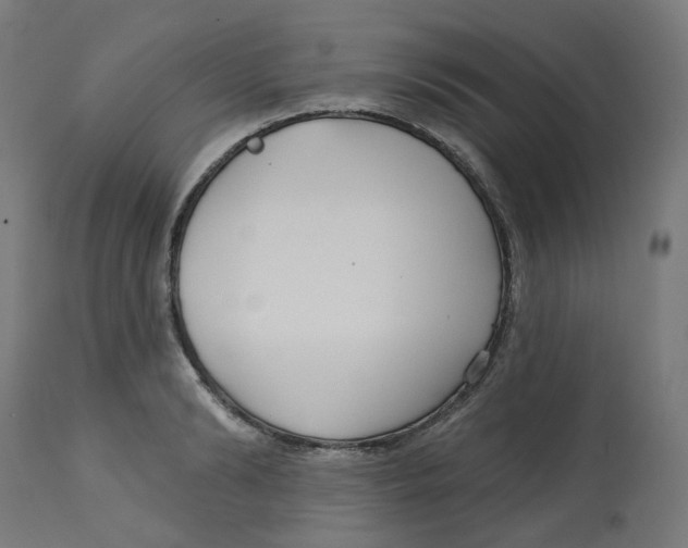 X0000112760894200909171247