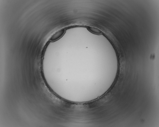 X0000112760896200909171247