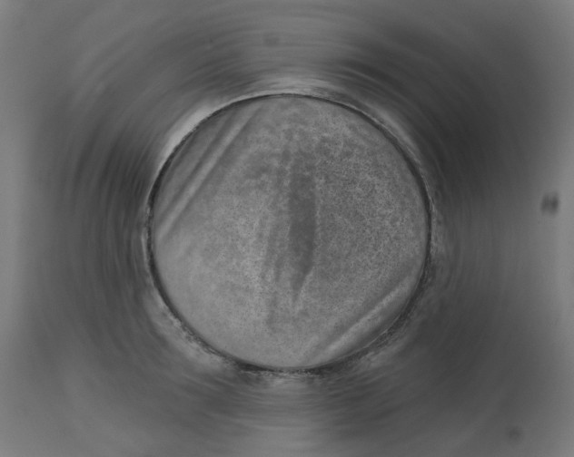 X0000112760899200909171247