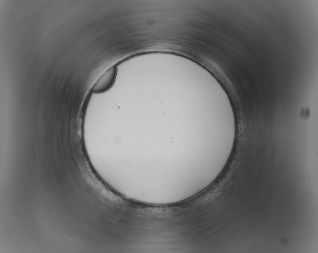 X0000112760900200909171247