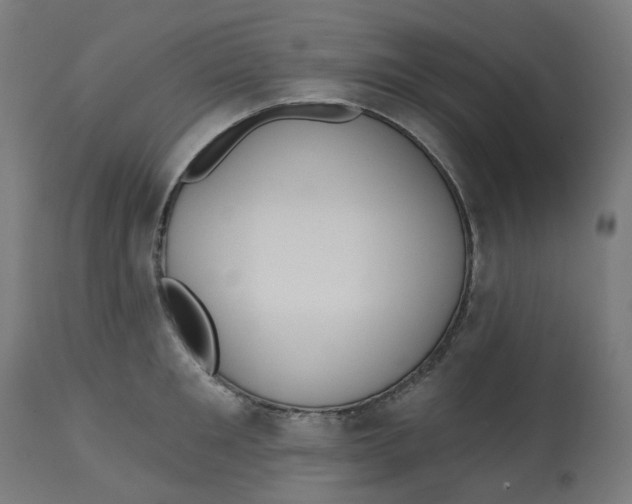X0000112760901200909171247