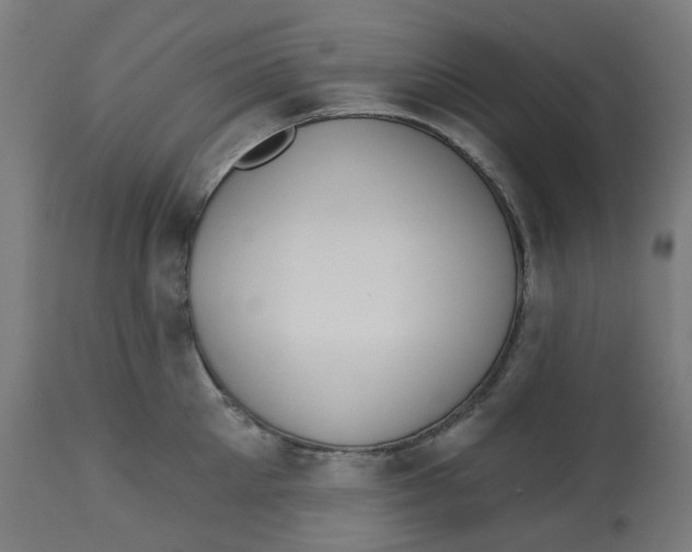 X0000112760905200909171247