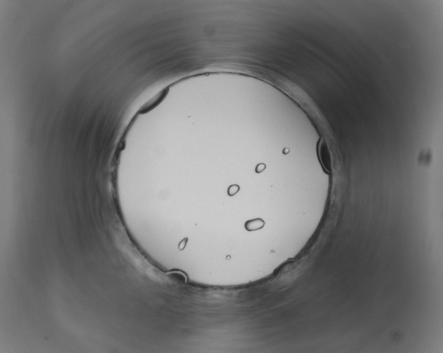 X0000112760908200909171247