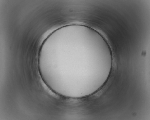 X0000112760910200909171247