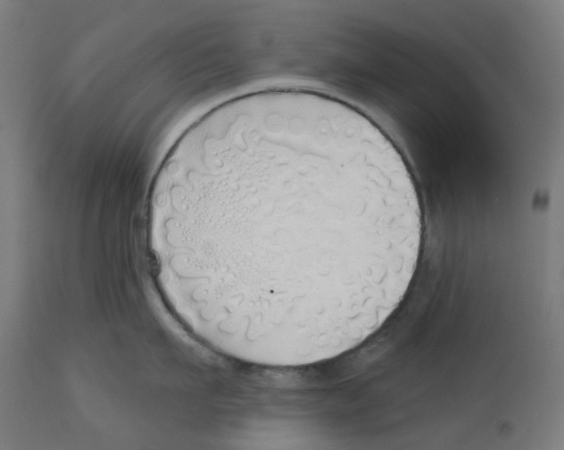 X0000112760911200909171247