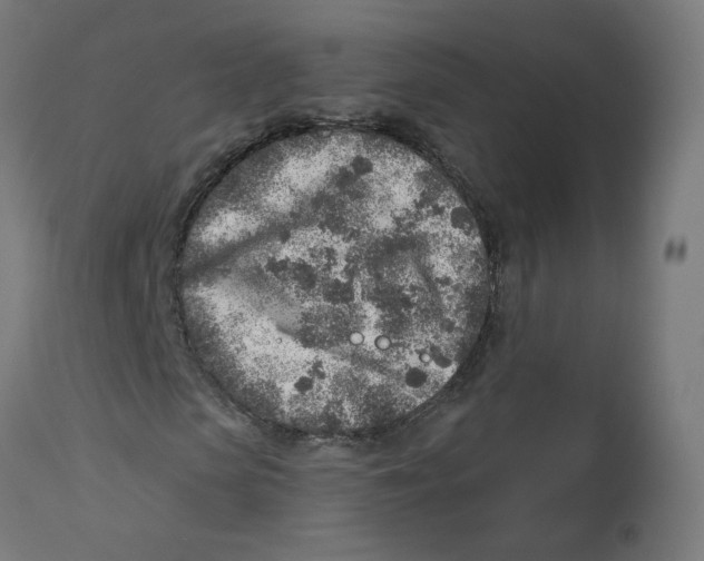 X0000112760913200909171246