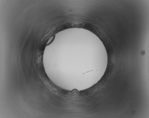 X0000112760914200909171246