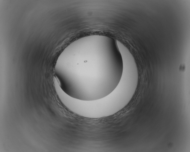 X0000112760916200909171246