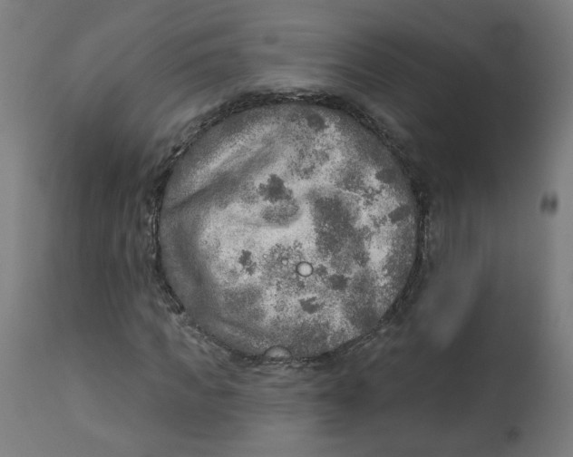 X0000112760917200909171246
