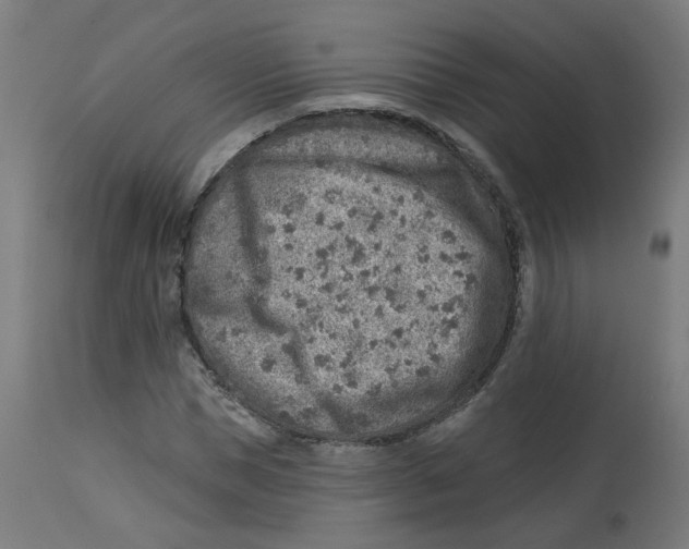 X0000112760921200909171246