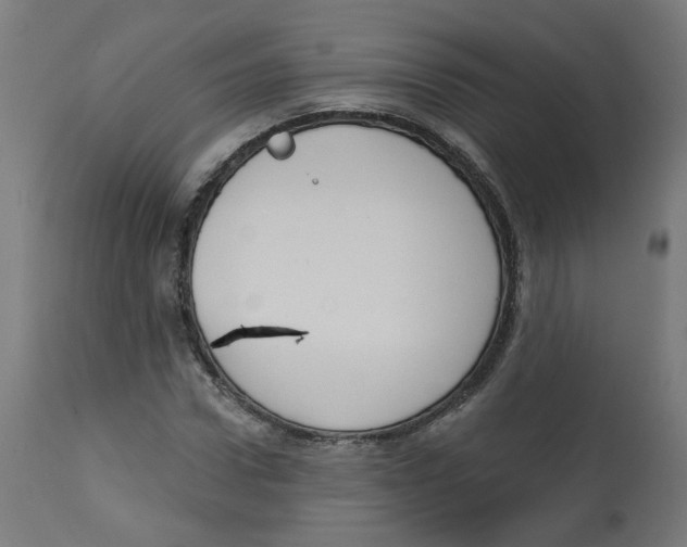 X0000112760922200909171246