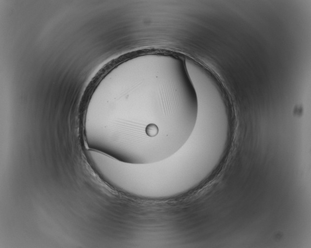 X0000112760924200909171246