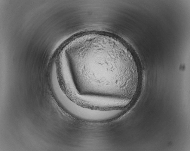 X0000112760925200909171246