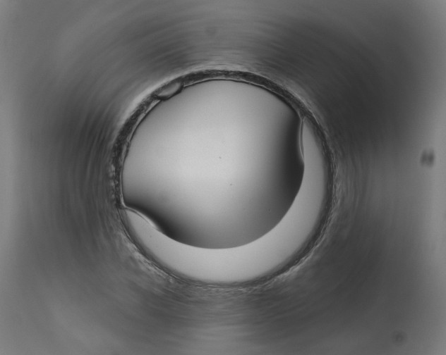 X0000112760926200909171246
