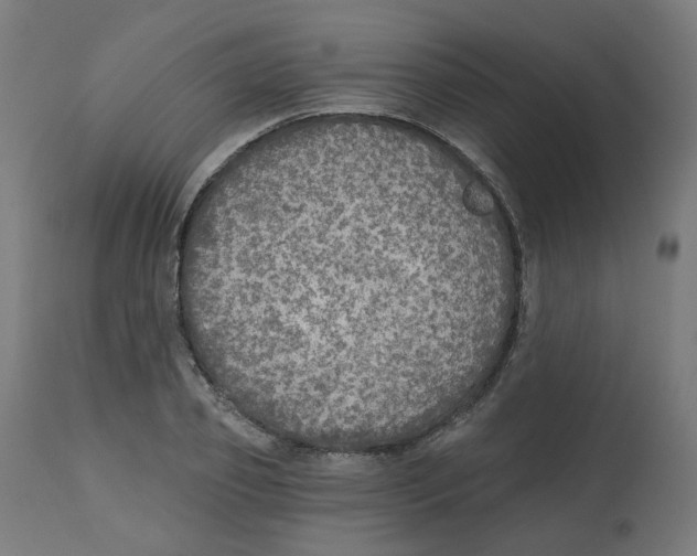 X0000112760933200909171246