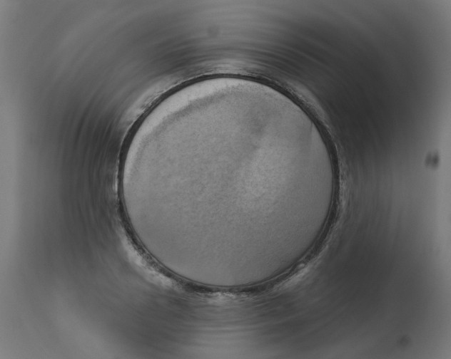 X0000112760938200909171246