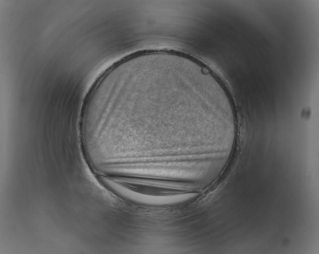 X0000112760943200909171246