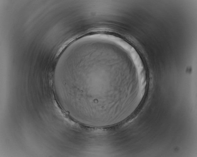 X0000112760945200909171246