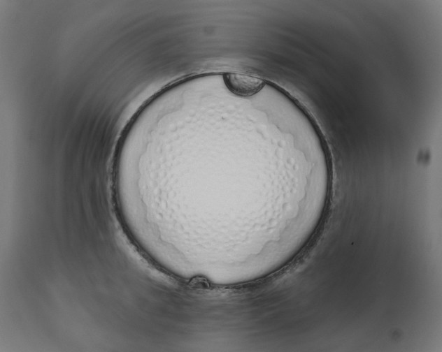 X0000112760949200909171246