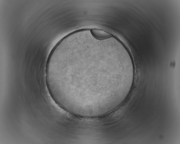 X0000112760951200909171246