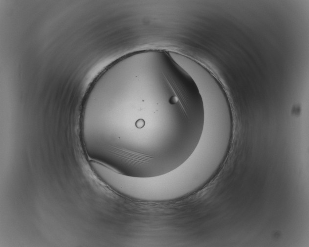 X0000112760952200909171246