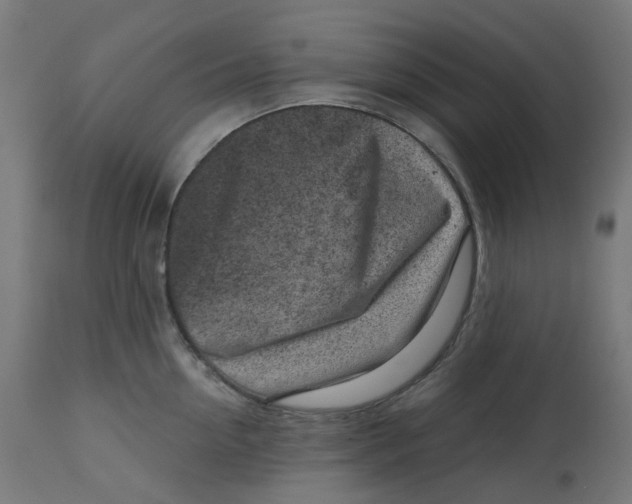 X0000112760954200909171246