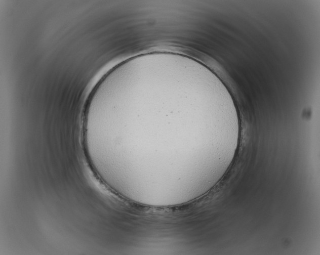 X0000112760955200909171246