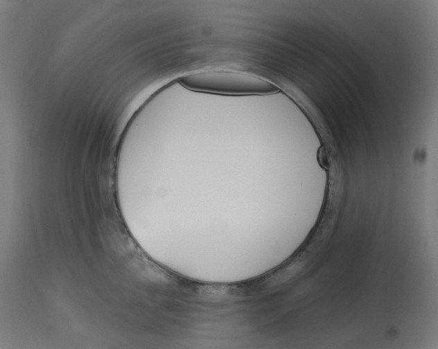 X0000112760956200909171246