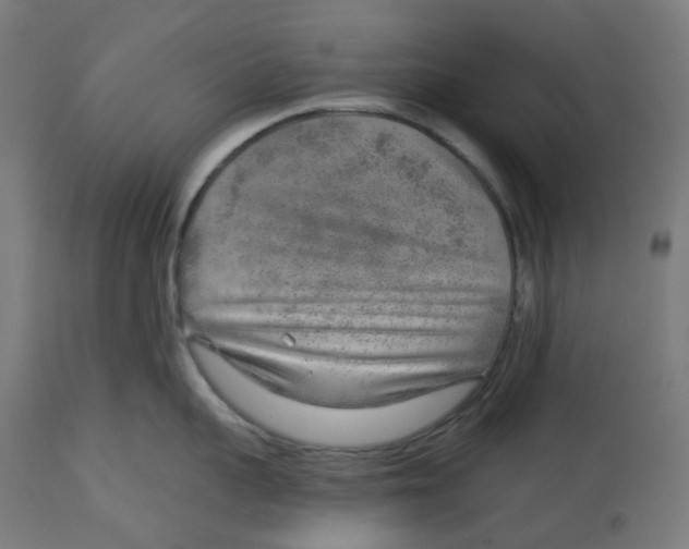 X0000112760959200909171247