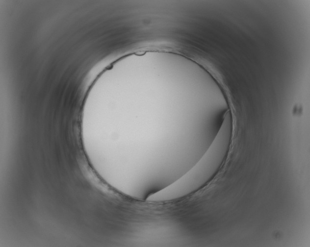 X0000112760960200909171247
