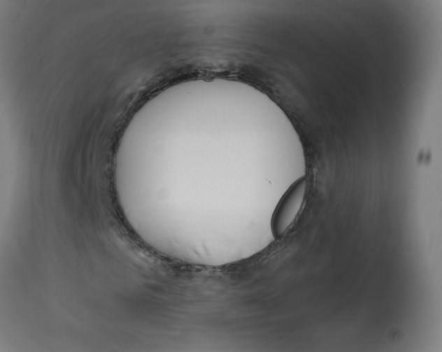 X0000112760961200909171246