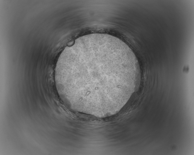 X0000112760964200909171246