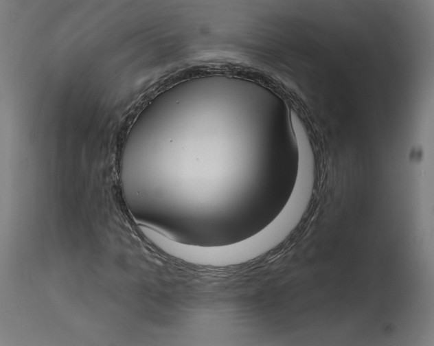 X0000112760965200909171246
