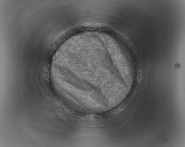 X0000112760966200909171246