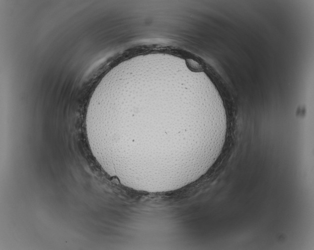 X0000112760967200909171246