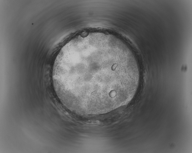 X0000112760968200909171246
