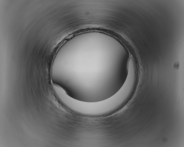 X0000112760969200909171246
