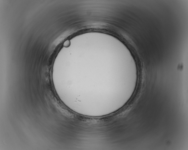 X0000112760970200909171246