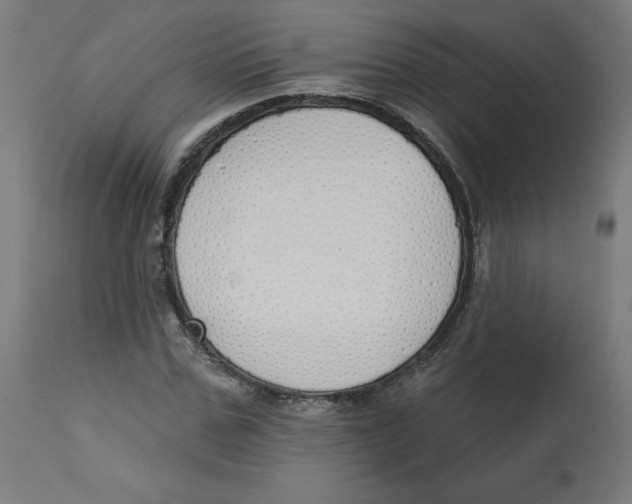 X0000112760971200909171246