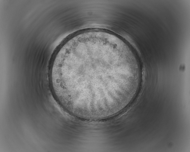 X0000112760972200909171246