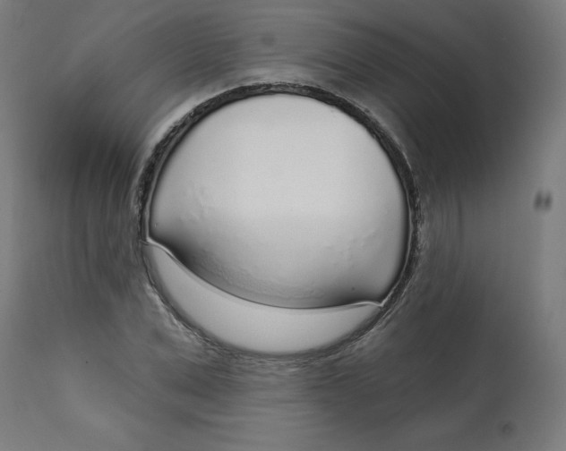 X0000112760975200909171246