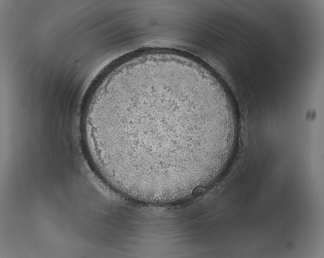 X0000112760976200909171245