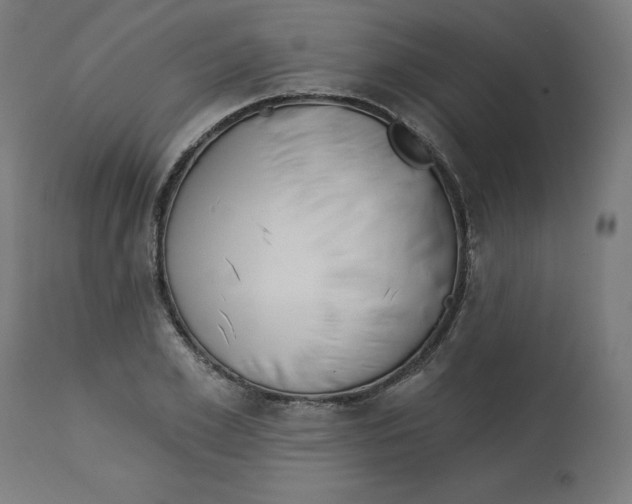 X0000112760981200909171245