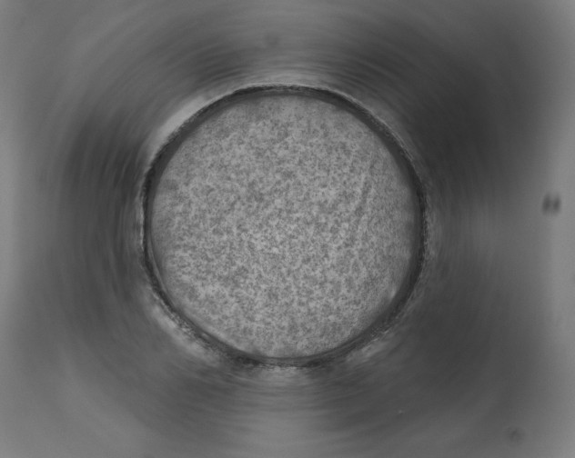 X0000112760982200909171245