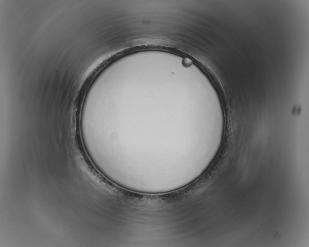 X0000112760983200909171245