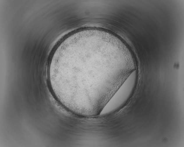 X0000112760984200909171245