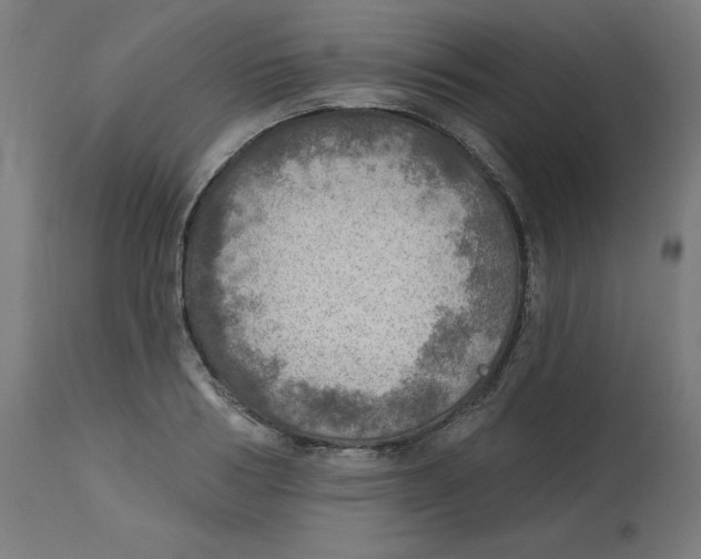 X0000112760986200909171245