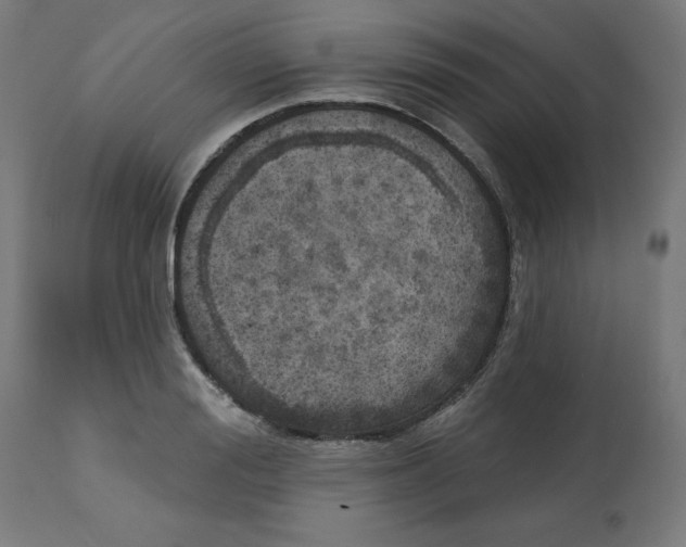 X0000112760988200909171245